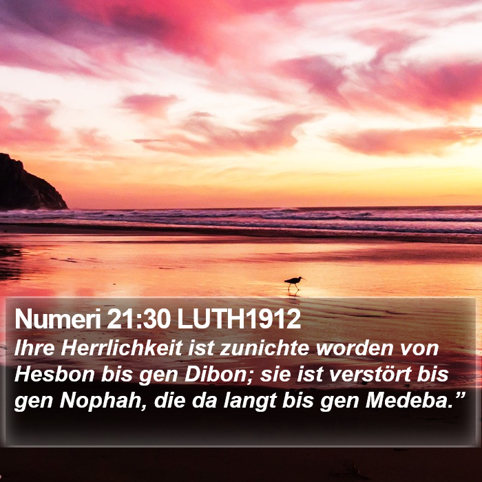 Numeri 21:30 LUTH1912 Bible Study