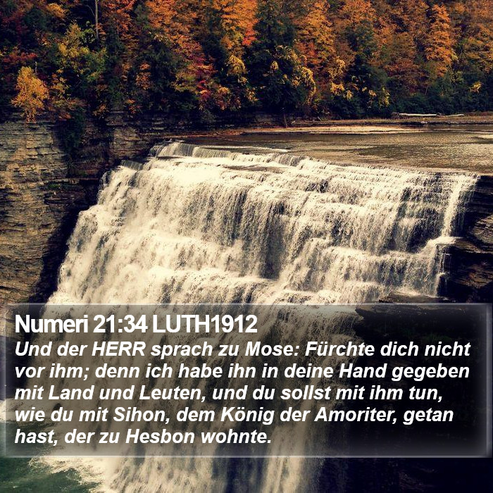 Numeri 21:34 LUTH1912 Bible Study
