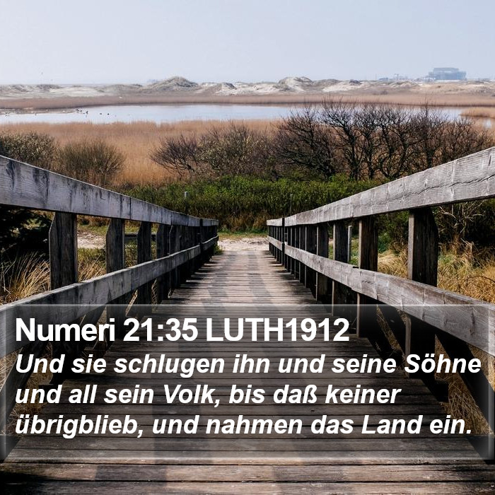 Numeri 21:35 LUTH1912 Bible Study
