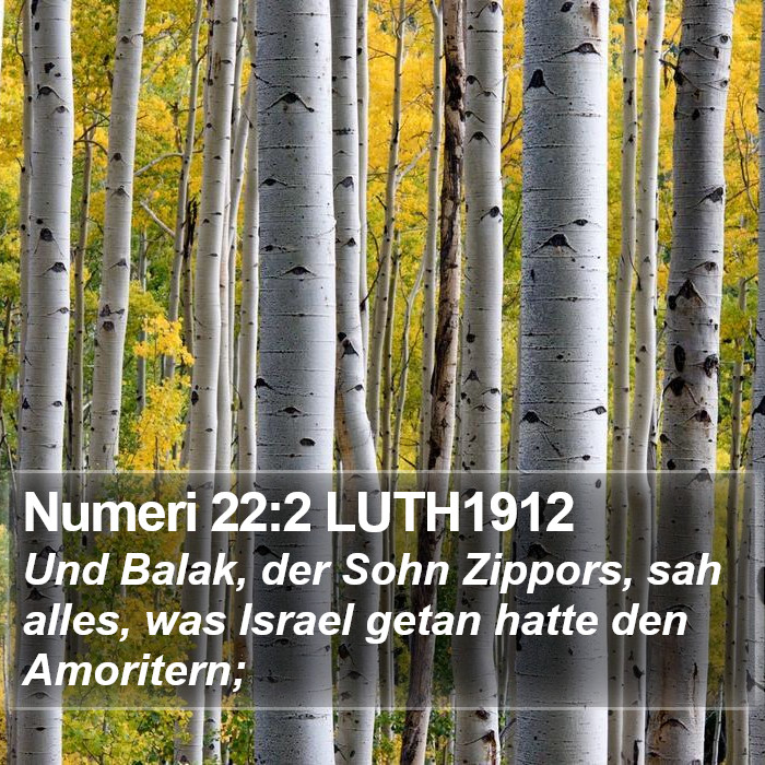 Numeri 22:2 LUTH1912 Bible Study