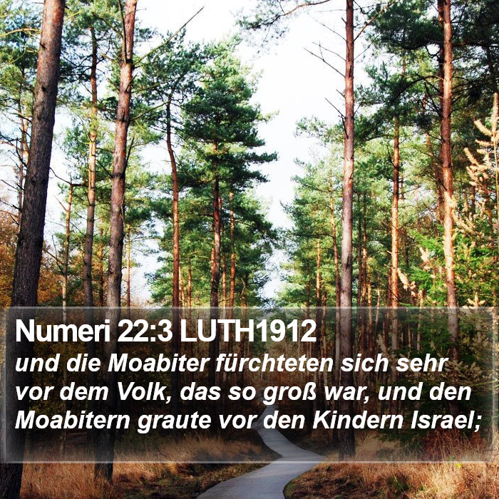 Numeri 22:3 LUTH1912 Bible Study