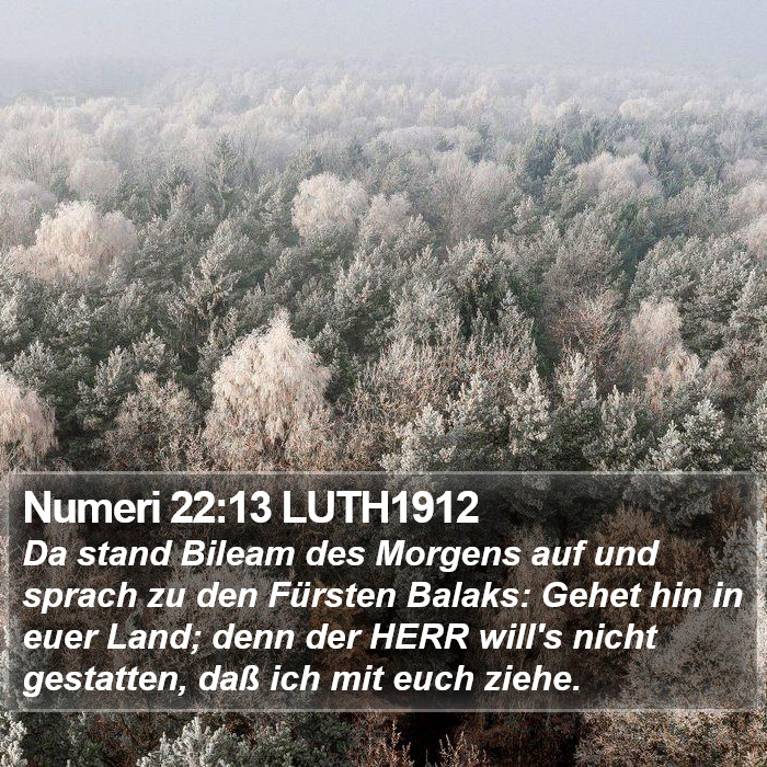 Numeri 22:13 LUTH1912 Bible Study