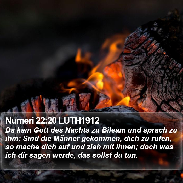 Numeri 22:20 LUTH1912 Bible Study