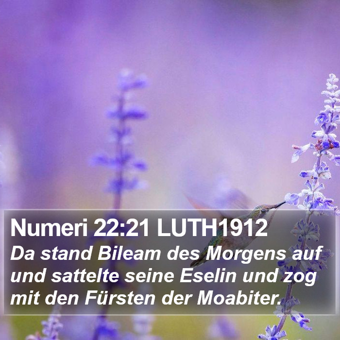 Numeri 22:21 LUTH1912 Bible Study