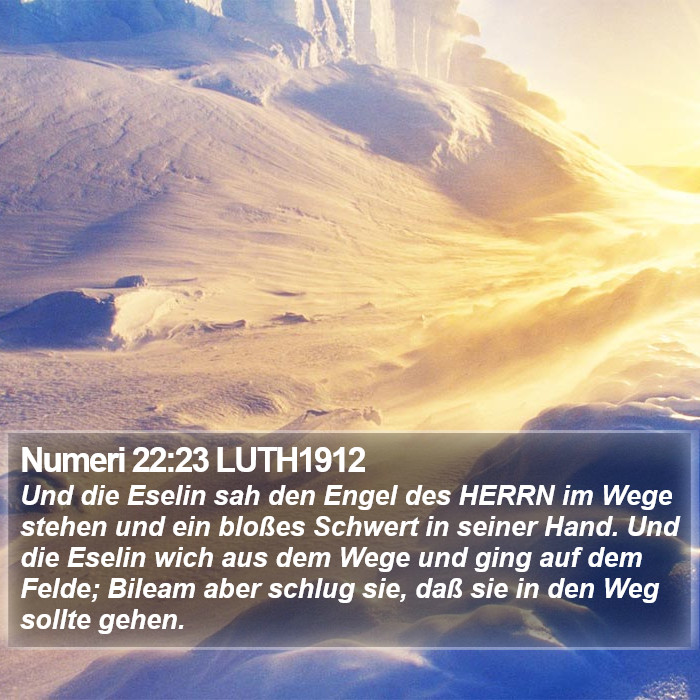 Numeri 22:23 LUTH1912 Bible Study