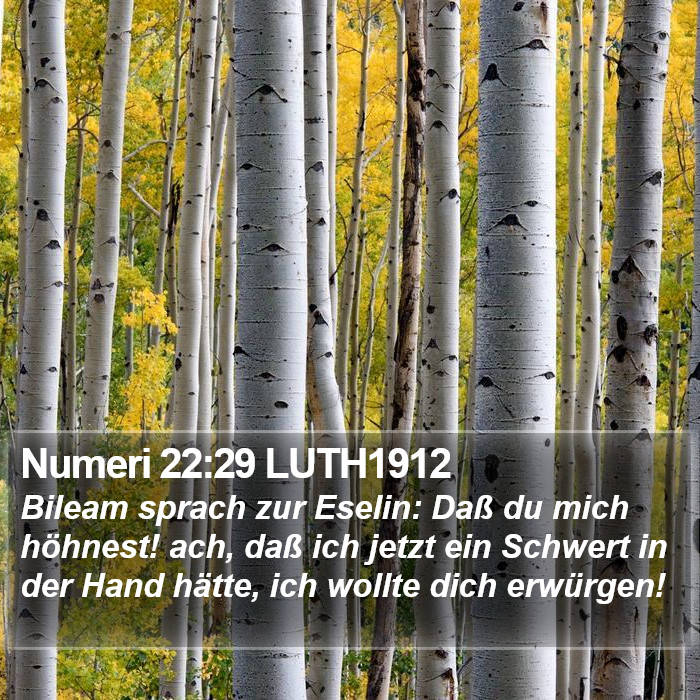 Numeri 22:29 LUTH1912 Bible Study