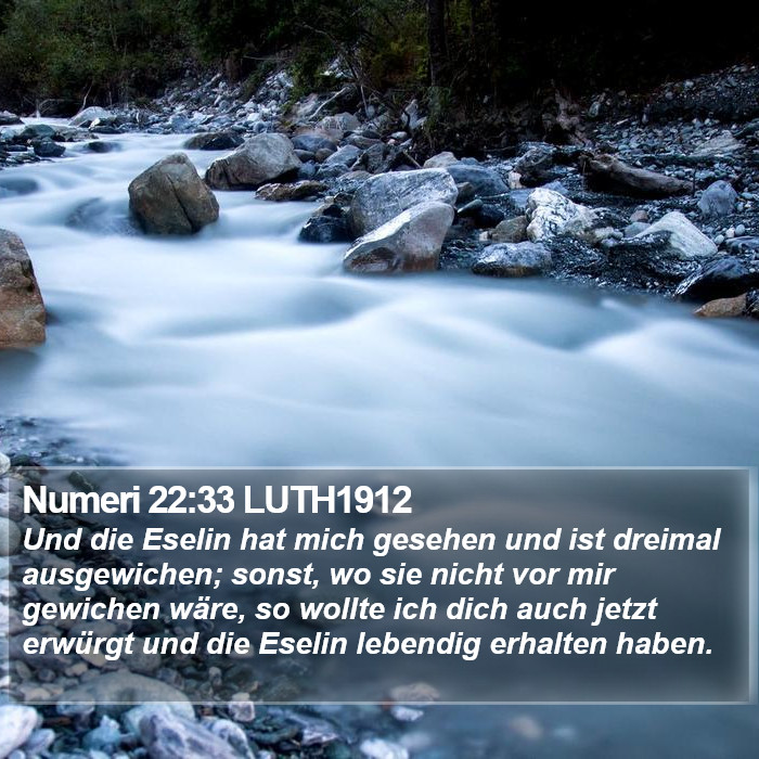 Numeri 22:33 LUTH1912 Bible Study