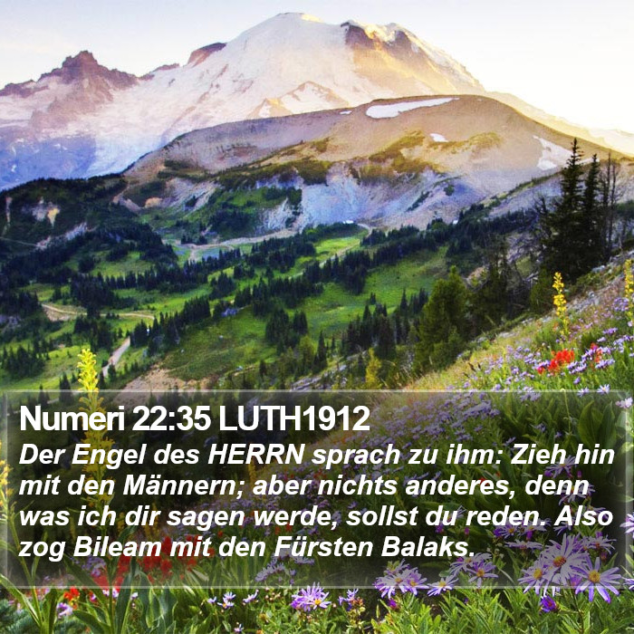 Numeri 22:35 LUTH1912 Bible Study