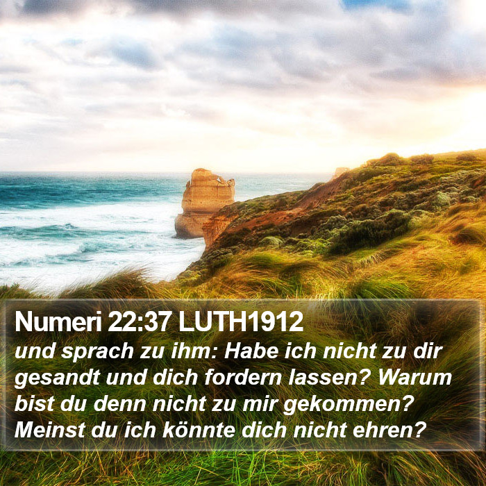 Numeri 22:37 LUTH1912 Bible Study