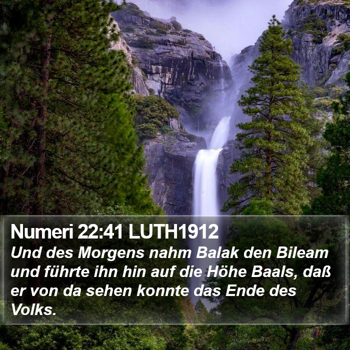 Numeri 22:41 LUTH1912 Bible Study