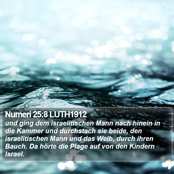 Numeri 25:8 LUTH1912 Bible Study