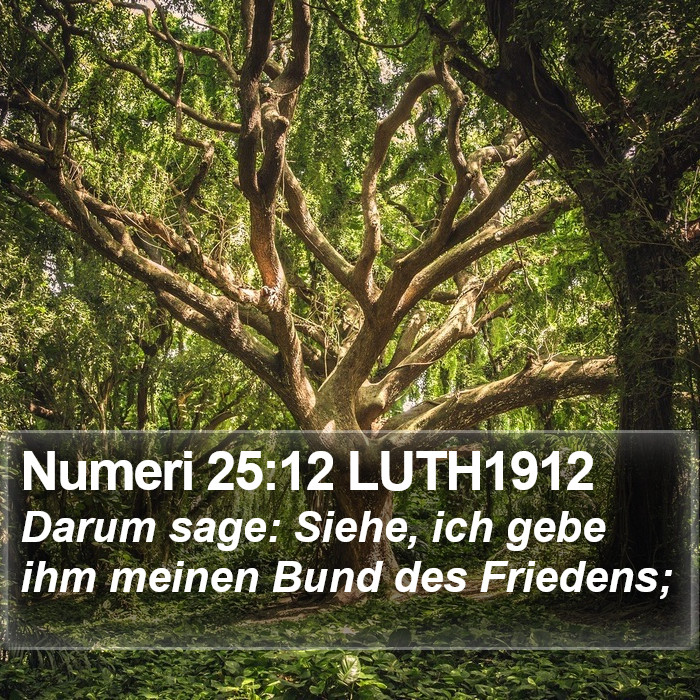 Numeri 25:12 LUTH1912 Bible Study