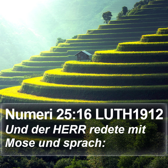 Numeri 25:16 LUTH1912 Bible Study