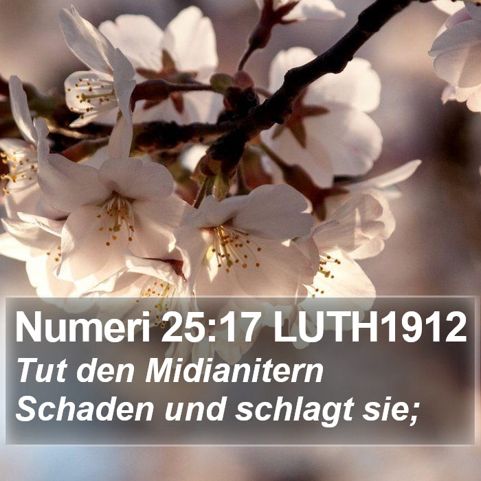 Numeri 25:17 LUTH1912 Bible Study