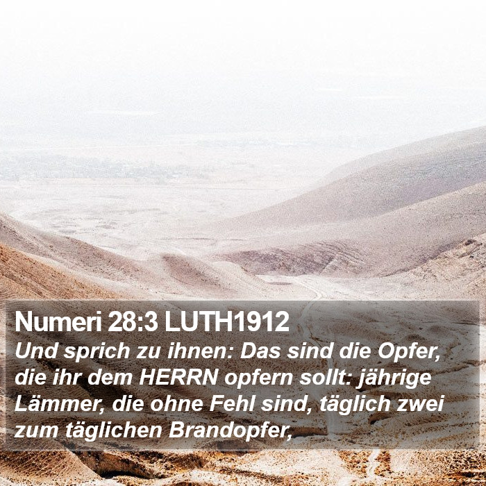 Numeri 28:3 LUTH1912 Bible Study