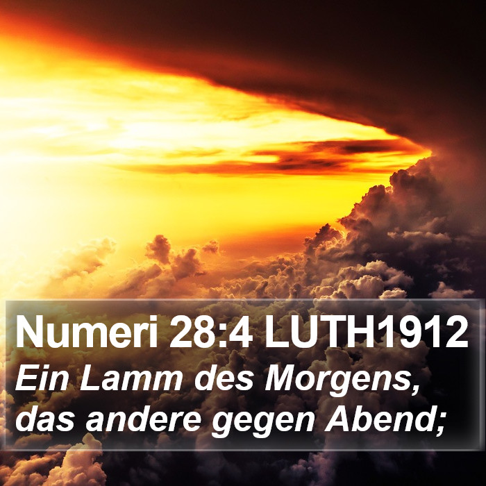 Numeri 28:4 LUTH1912 Bible Study