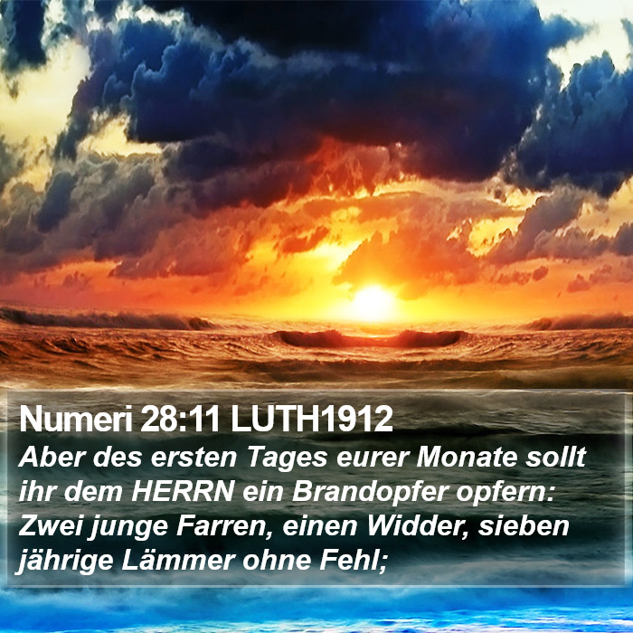 Numeri 28:11 LUTH1912 Bible Study