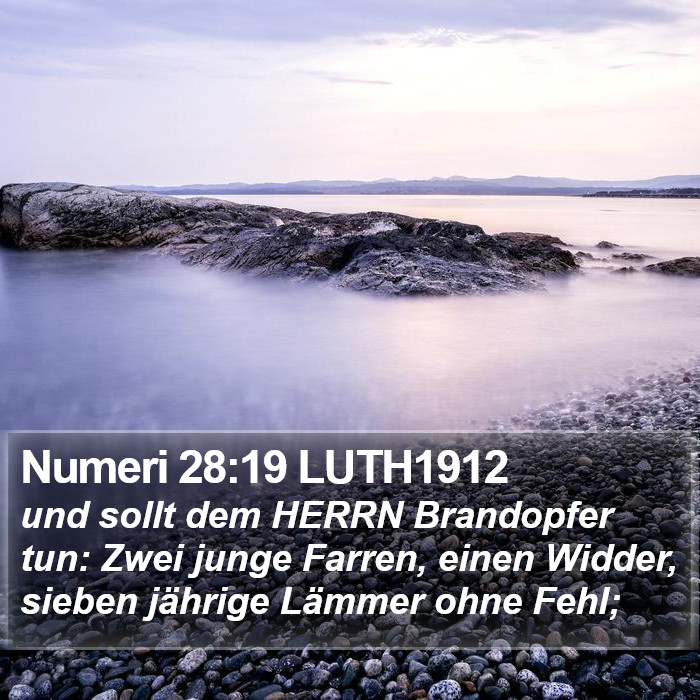 Numeri 28:19 LUTH1912 Bible Study