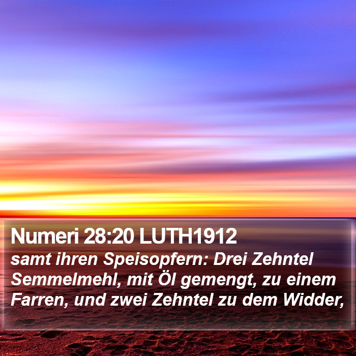 Numeri 28:20 LUTH1912 Bible Study