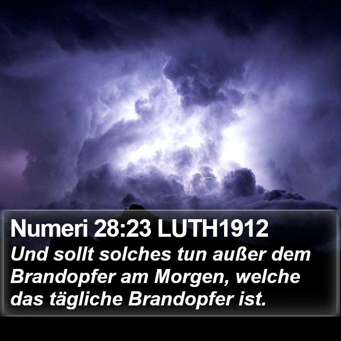 Numeri 28:23 LUTH1912 Bible Study