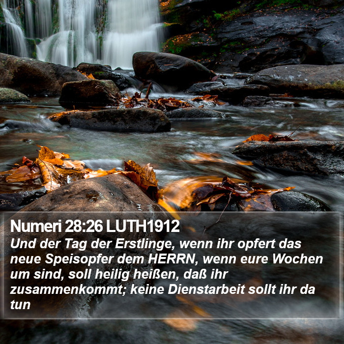 Numeri 28:26 LUTH1912 Bible Study