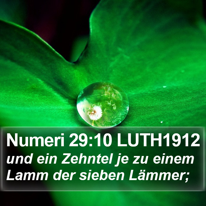 Numeri 29:10 LUTH1912 Bible Study