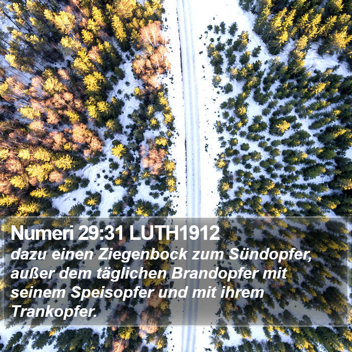 Numeri 29:31 LUTH1912 Bible Study