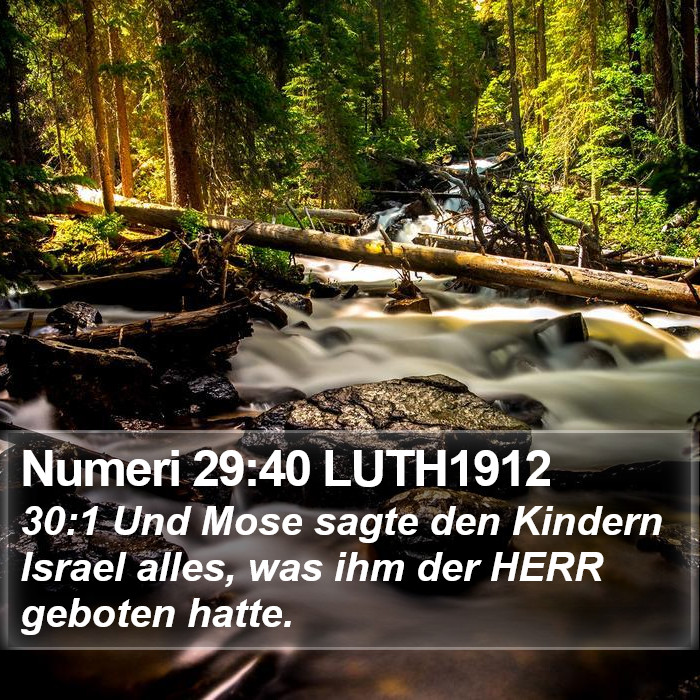 Numeri 29:40 LUTH1912 Bible Study