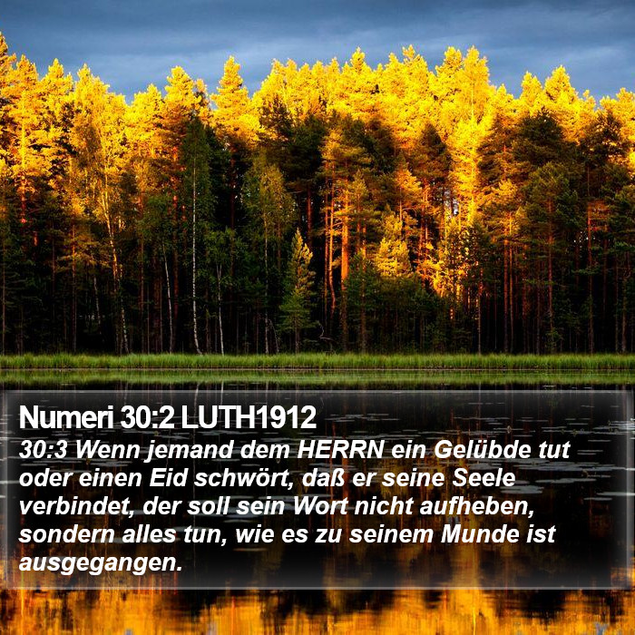 Numeri 30:2 LUTH1912 Bible Study