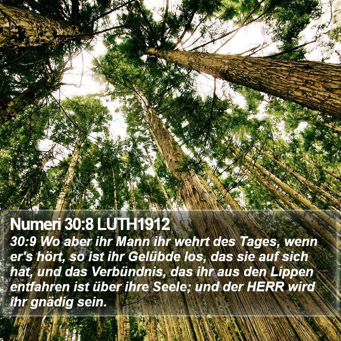 Numeri 30:8 LUTH1912 Bible Study