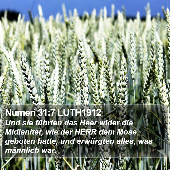 Numeri 31:7 LUTH1912 Bible Study
