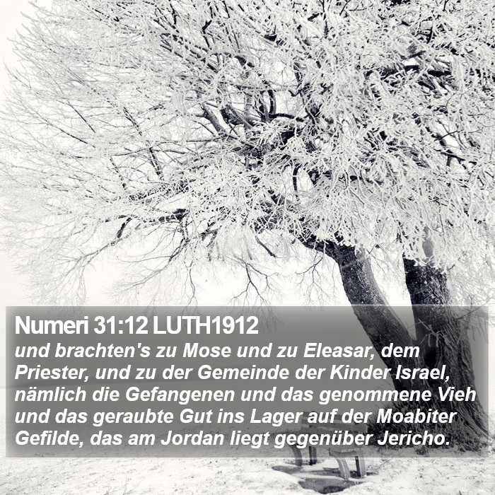 Numeri 31:12 LUTH1912 Bible Study