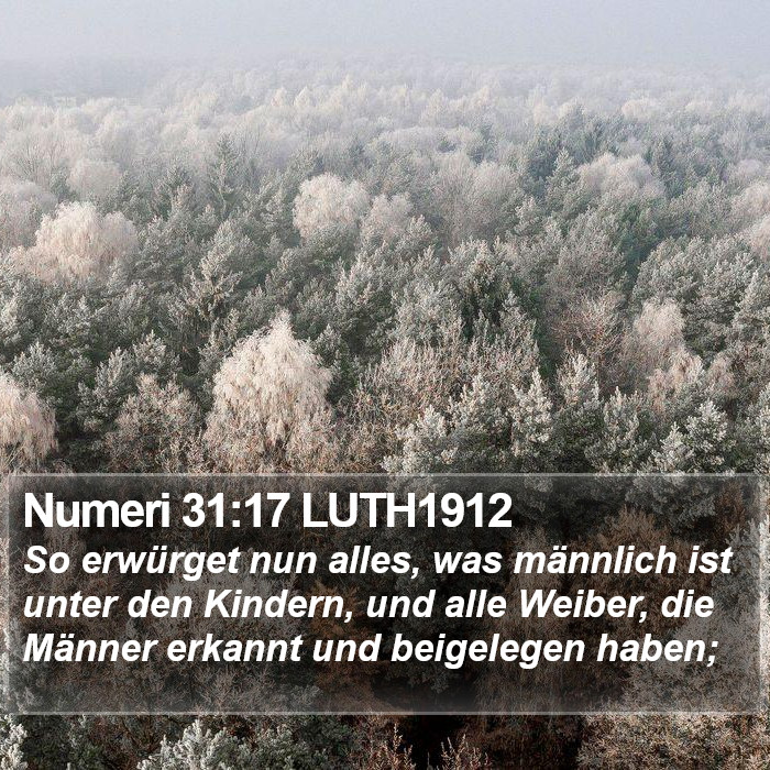 Numeri 31:17 LUTH1912 Bible Study