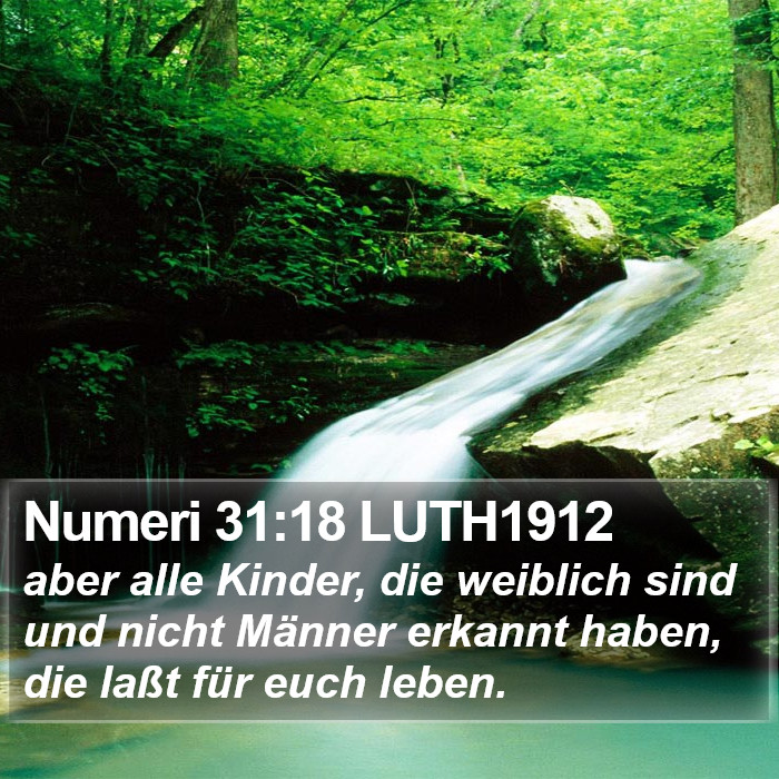 Numeri 31:18 LUTH1912 Bible Study