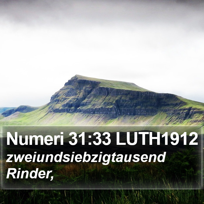 Numeri 31:33 LUTH1912 Bible Study