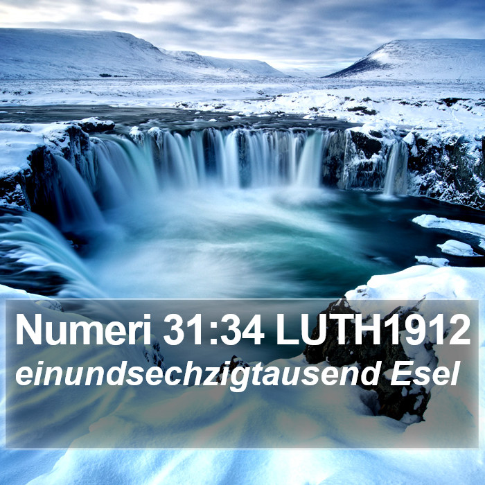 Numeri 31:34 LUTH1912 Bible Study