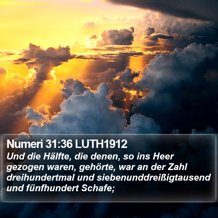 Numeri 31:36 LUTH1912 Bible Study