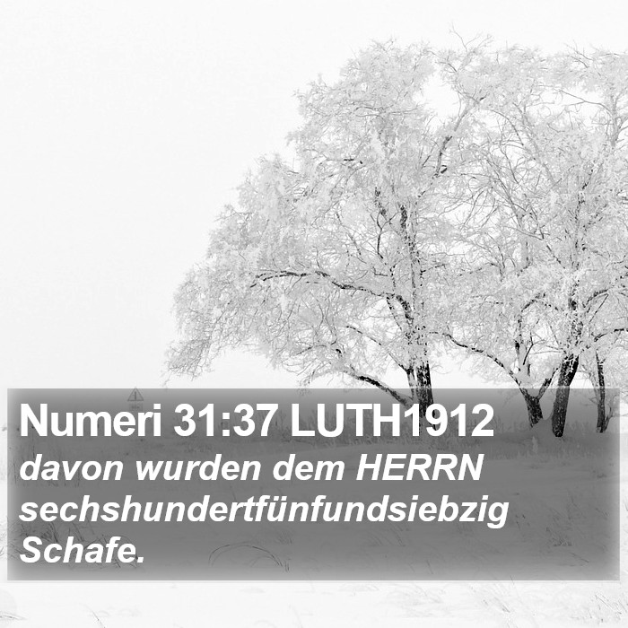 Numeri 31:37 LUTH1912 Bible Study