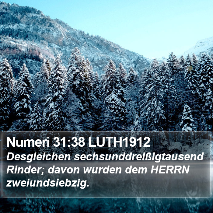 Numeri 31:38 LUTH1912 Bible Study