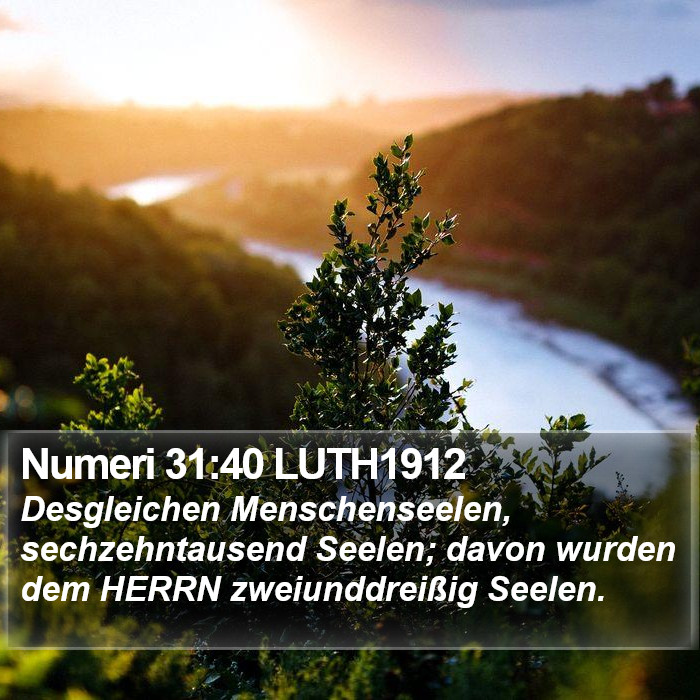 Numeri 31:40 LUTH1912 Bible Study