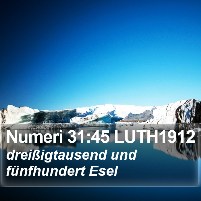 Numeri 31:45 LUTH1912 Bible Study