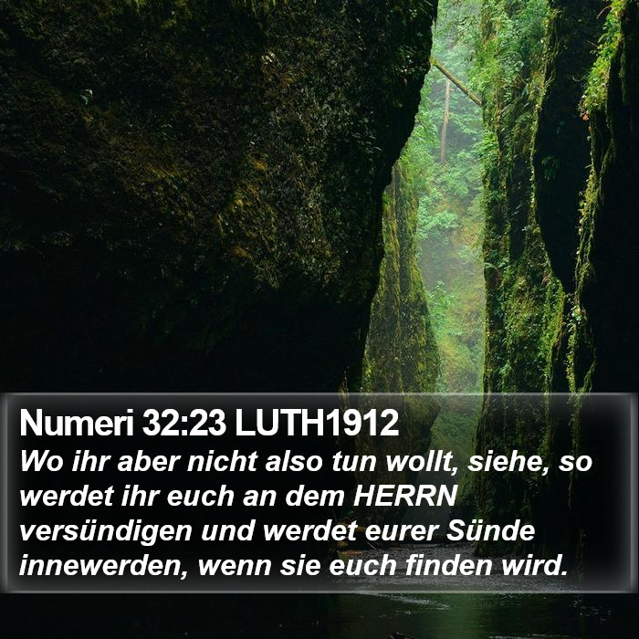 Numeri 32:23 LUTH1912 Bible Study
