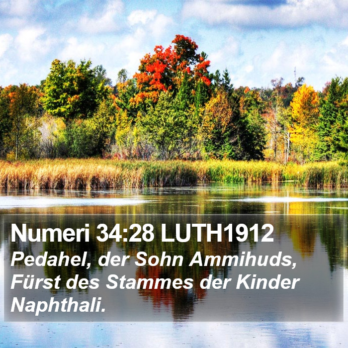 Numeri 34:28 LUTH1912 Bible Study