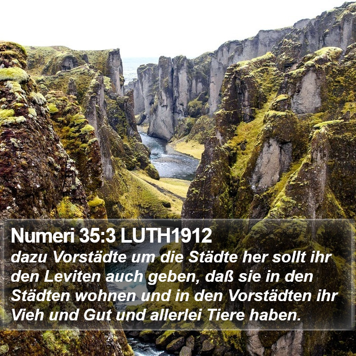 Numeri 35:3 LUTH1912 Bible Study