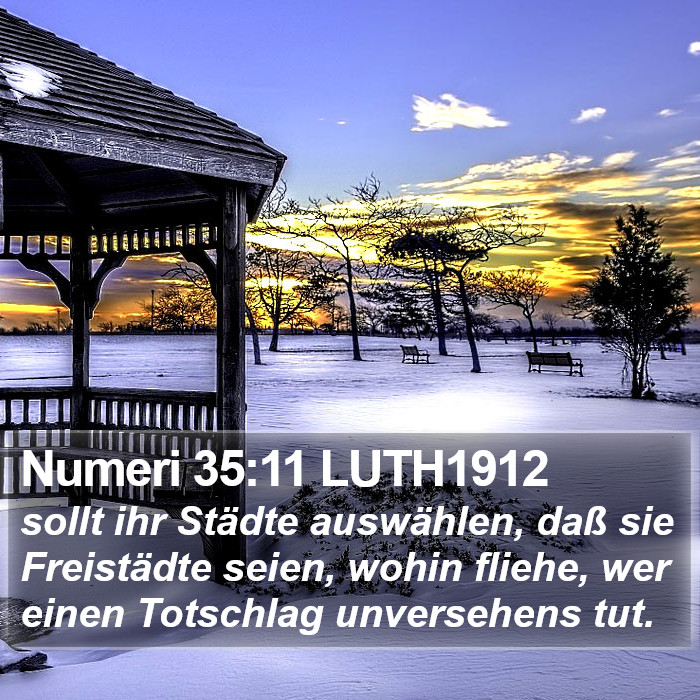 Numeri 35:11 LUTH1912 Bible Study