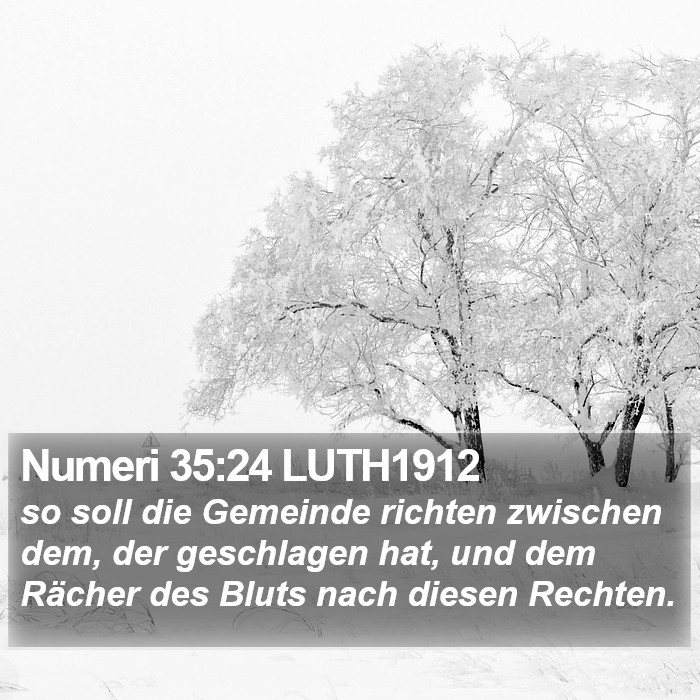 Numeri 35:24 LUTH1912 Bible Study