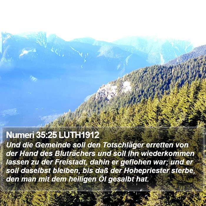 Numeri 35:25 LUTH1912 Bible Study