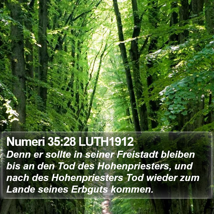 Numeri 35:28 LUTH1912 Bible Study