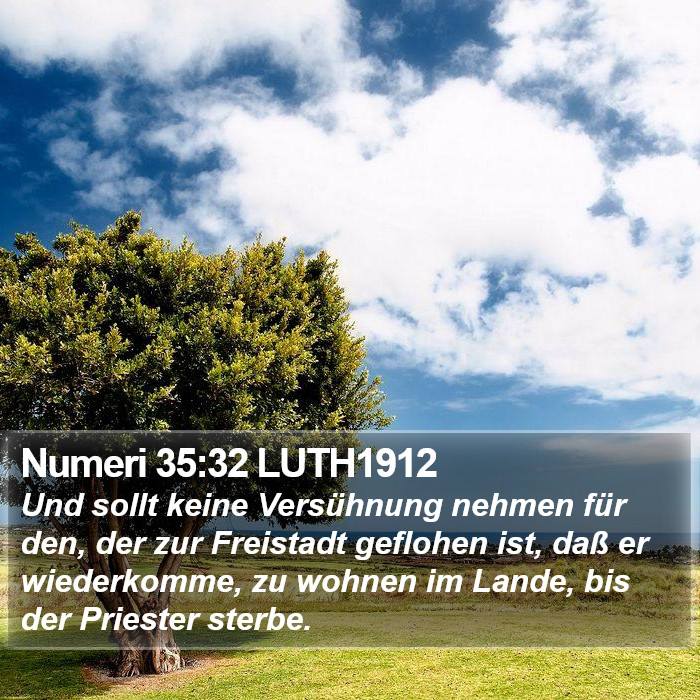 Numeri 35:32 LUTH1912 Bible Study