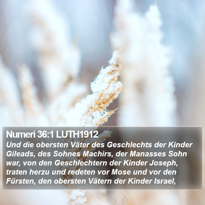 Numeri 36:1 LUTH1912 Bible Study